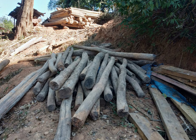 Cơ quan chức năng xác định gần 400m3 gỗ các loại trôi dạt về từ Lào. 