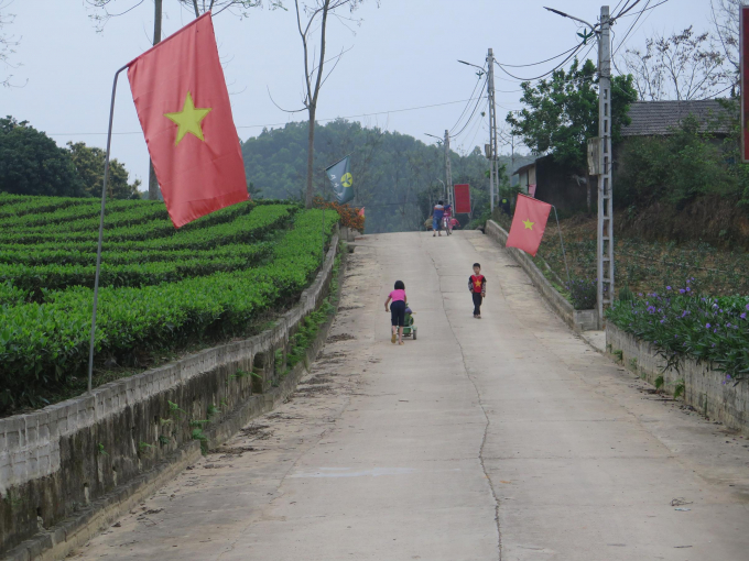 Chuyên canh cây chè đã mang lại diện mạo mới cho làng quê Phú Nam 1.