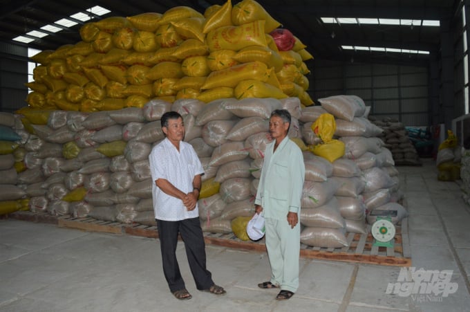 Tạm ngưng xuất khẩu gạo, lúa chất đống trong kho, cả doanh nghiệp, nông dân đều khốn khó. Ảnh: Trung Chánh.