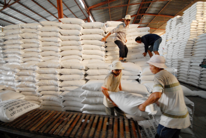 Nhiều DN xuất khẩu gạo ở Cần Thơ do không xuất được nên thất thoát khoảng 260-350 triệu đồng/ngày tiền kho bãi nằm kẹt ở cảng. Ảnh: Lê Hoàng Vũ.