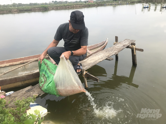 Anh Phạm Văn Chạy mua cá rôi phi về thả vào ao tôm để chúng làm nhiệm vụ dọn vệ sinh đáy hồ. Ảnh: Vũ Đình Thung.