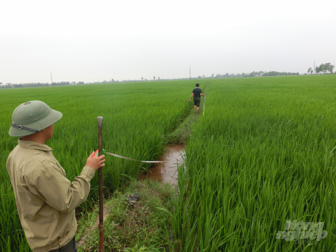 Căng dây đo khoảng cách đóng 'bùa' tại ruộng lúa ở Ninh Bình. Ảnh: Dương Đình Tường.
