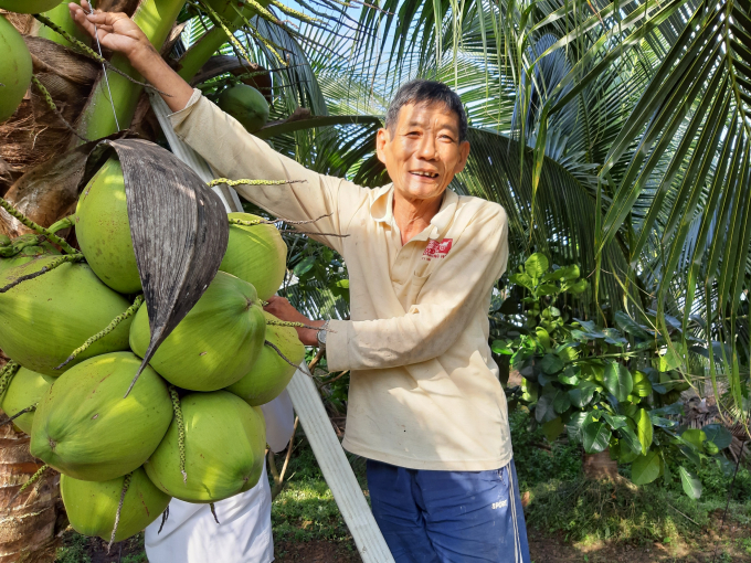 Ông Đặng Văn Tuấn, ấp Cây Sộp, xã Hồ Thị Kỷ (huyện Thới Bình) thực hiện mô hình đa cây, con, hàng năm cho )thu nhập trên 100 triệu đồng.