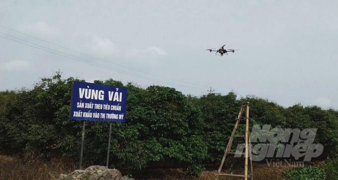 Thử nghiệm phun thuốc BVTV bằng máy bay không người lái tại huyện Thanh Hà. Ảnh: Kế Toại. 