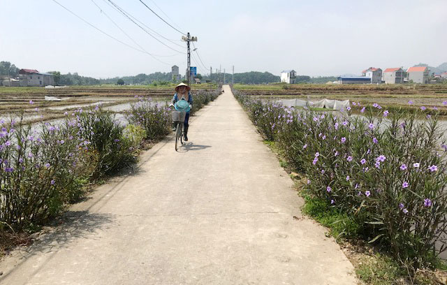 Đường làng, ngõ xóm đều được bê tông hóa và trồng hoa dọc hai bên đường tạo cảnh quan đẹp mắt ở huyện Đại Từ. Ảnh: Kiều Hải.