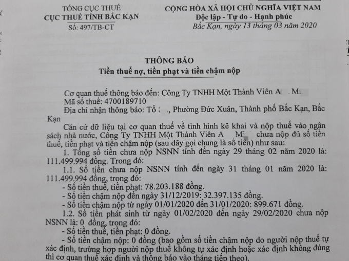 Không hiểu vì lý do gì, Cục Thuế vẫn thông báo số 497/TB-CT ngày 13/03 yêu cầu công ty A.M phải nộp thuế chậm và nộp phạt số tiền nói trên. Ảnh: Toán Nguyễn.