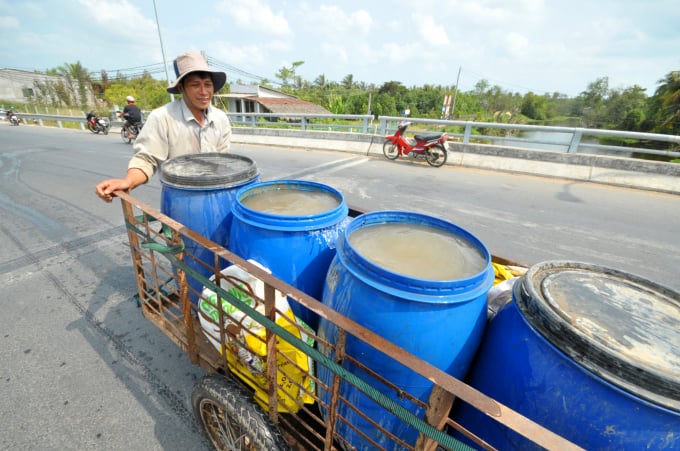 Người dân trồng sầu riêng ở Cai Lậy – Tiền Giang, vào mùa hạn mặn phải đi nhận nước ngọt từng lít về tưới cây. Ảnh: Hoàng Vũ.