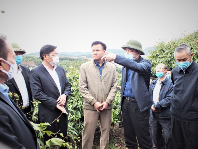 Bộ trưởng Bộ NN-PTNT Nguyễn Xuân Cường kiểm tra vùng vải thiều sớm tại huyện Tân Yên (Bắc Giang) ngày 26/4. Ảnh: Lê Bền.
