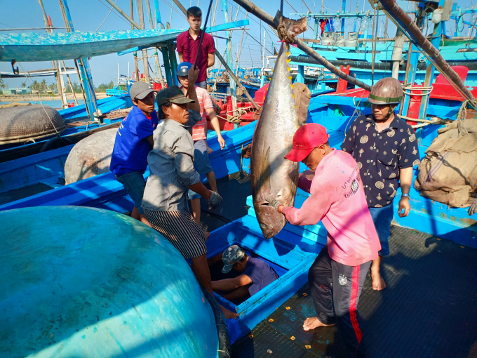 Từ 2019 đến nay, các tàu cá tỉnh Phú Yên không còn vi phạm vùng biển nước ngoài để khai thác hải sản. Ảnh: Kim Sơ.