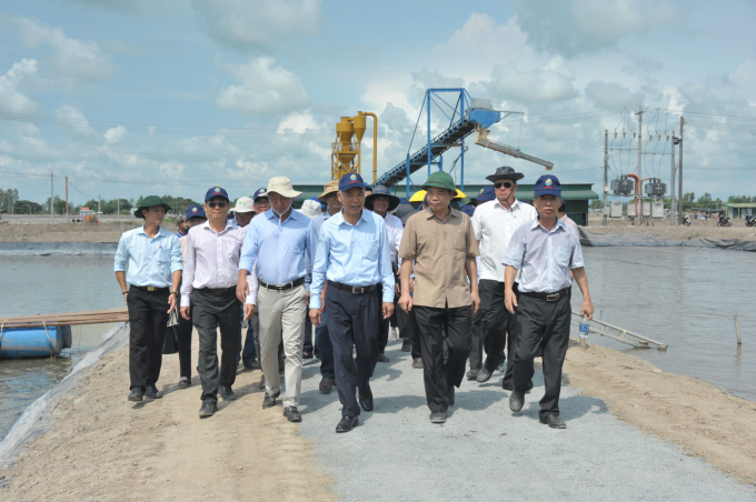 Bộ trưởng Nguyễn Xuân Cường thăm vùng nuôi cá tra hiện đại tại An Giang. Ảnh: Lê Hoàng Vũ.