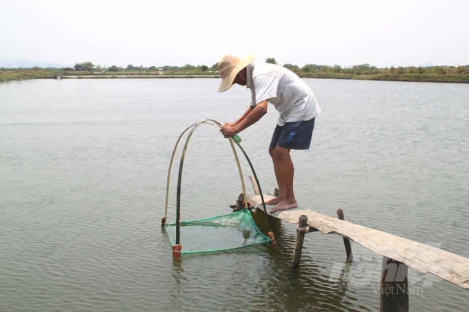 Một chủ ao nuôi tôm ở xã Phước Thắng (huyện Tuy Phước, Bình Định) kiểm tra tôm trong ao nuôi. Ảnh: Đình Thung.