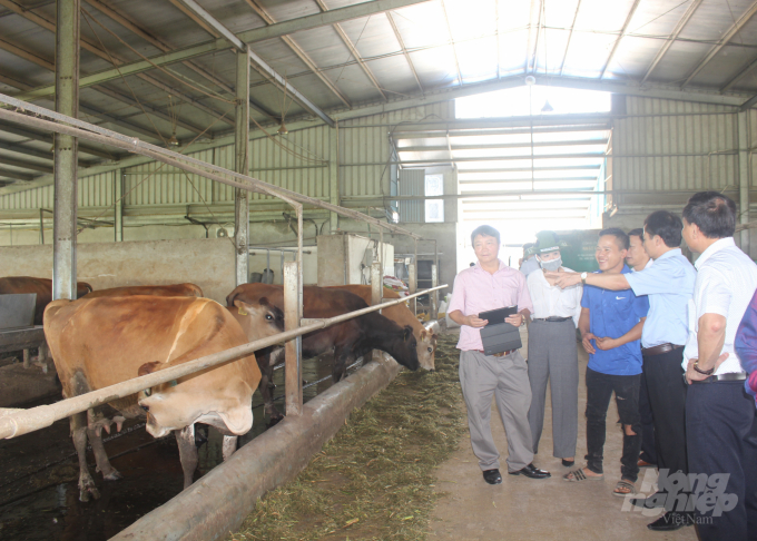Trung tâm KNQG, Cục Chăn nuôi tham quan mô hình nuôi bò thịt ở Hà Nam. Ảnh: Mai Chiến.