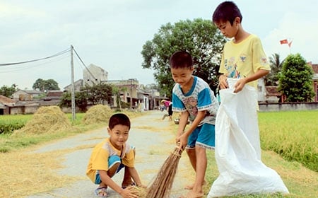 Trẻ em đi mót lúa. Ảnh: phatgiao.org.vn