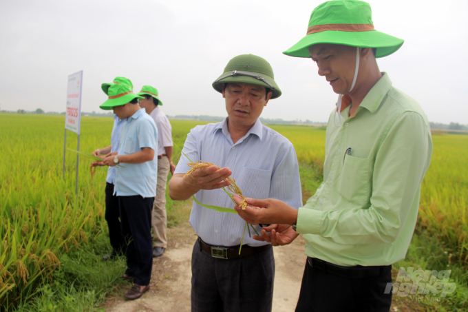 Ông Nguyễn Viết Thái, Phó Giám đốc Sở NN- PTNT Thanh Hóa thăm mô hình liên kết giữa ThaiBinh Seed và nông dân Triệu Sơn. Ảnh: Võ Dũng.