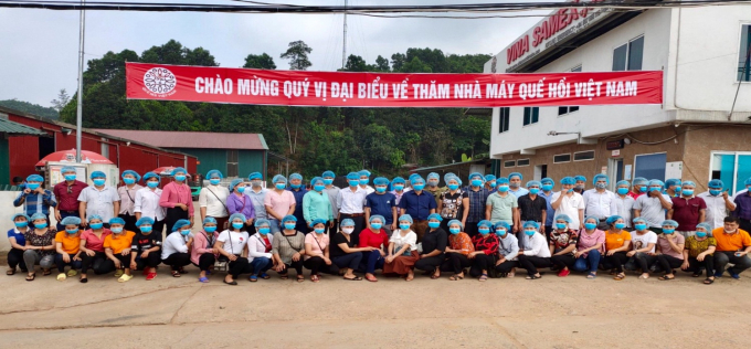 Tham quan nhà máy quế hồi Việt Nam tại huyện Văn Chấn.