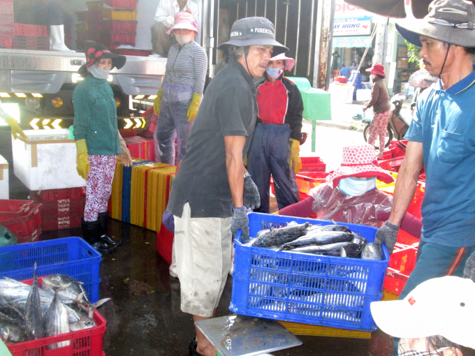Ngư dân nhập sản phẩm về Cảng cá Quy Nhơn (Bình Định). Ảnh: Vũ Đình Thung.