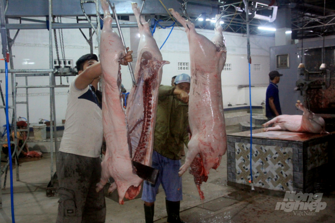 Thịt heo cân móc hàm ở TP Quy Nhơn tăng đến 130.000 đồng/kg khiến các loại thịt heo tăng cao. Ảnh: Vũ Đình Thung.