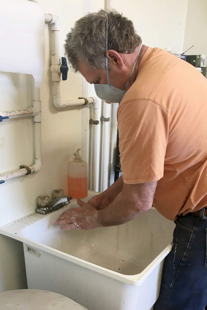 Greenway rửa tay để đảm bảo an toàn sinh học tại trang trại. Ảnh: WSJ.