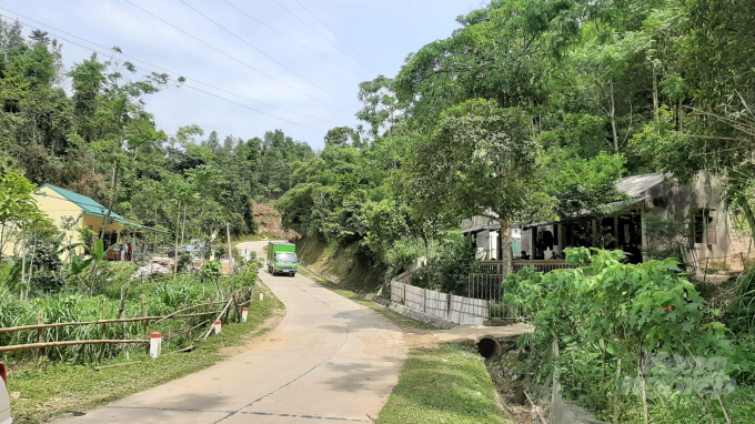 Trạm Kiểm lâm Sỹ Bình (bên trái) và Trạm bảo vệ rừng của đơn vị quân đội K98 (bên phải), cách khu vực bị khai thác trái phép hơn 500m. Ảnh: Toán Nguyễn.