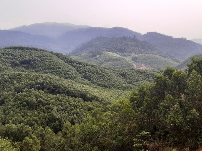 Các khu rừng tự nhiên xung yếu ở Thừa Thiên- Huế cơ bản được kiểm soát và hạn chế tình trạng chặt phá rừng; ổn định độ che phủ rừng. Ảnh: Tiến Thành.