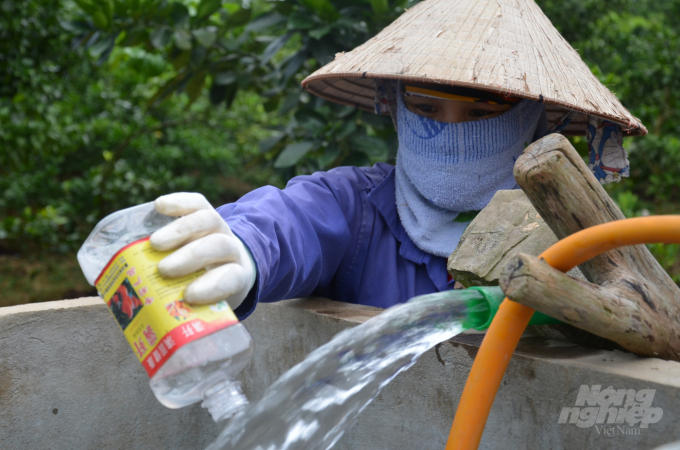 Một chủ vườn ở huyện Lục Ngạn, tỉnh Bắc Giang đang pha thuốc trị nhện của 'Tàu'. Ảnh: NNVN.