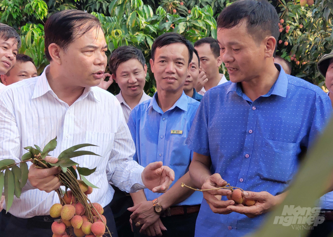 Bộ trưởng Nguyễn Xuân Cường trò chuyện cùng người trồng vải tại huyện Thanh Hà. Ảnh: Kế Toại. 
