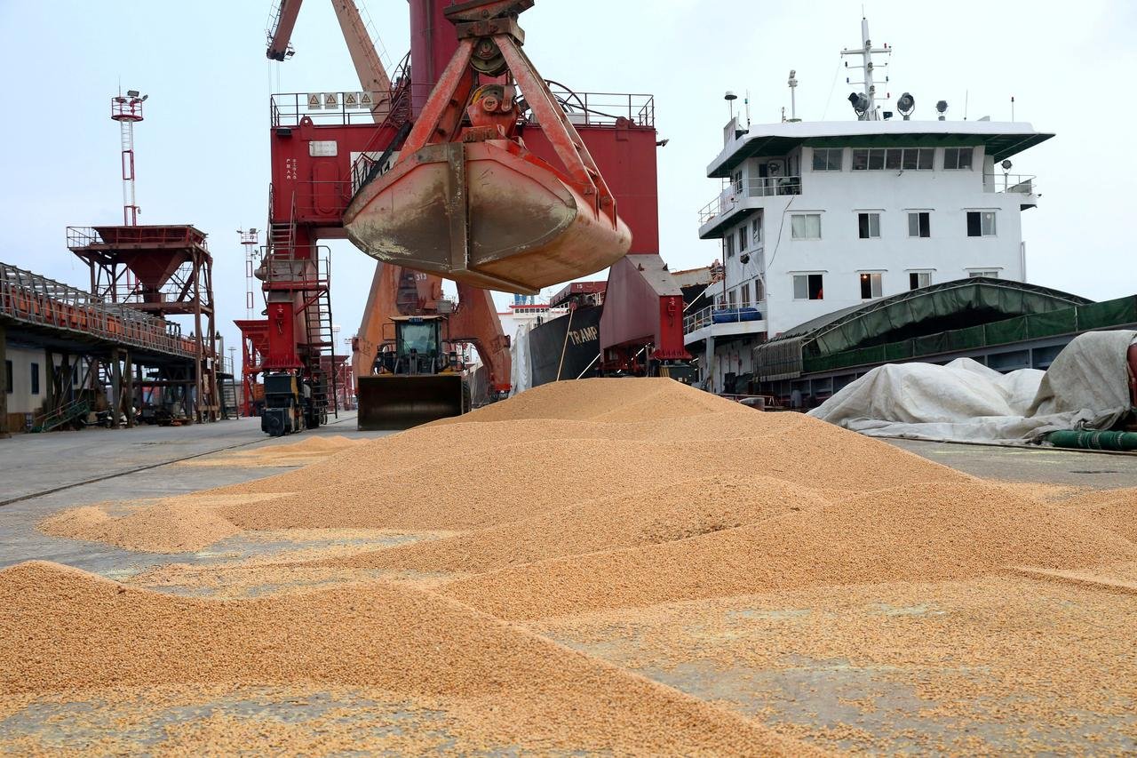 Trung Quốc nhập khẩu đậu nành để đáp ứng nhu cầu sản xuất dầu ăn và thức ăn chăn nuôi. Ảnh: Reuters.