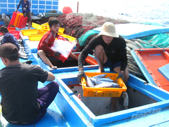 Nếu tàu cá cập bờ cùng lúc sẽ rất khó khăn cho Ban quản lý các cảng cá ở Bình Định trong công tác kiểm tra nguồn gốc, sản lượng thủy sản. Ảnh: Tuấn Anh.