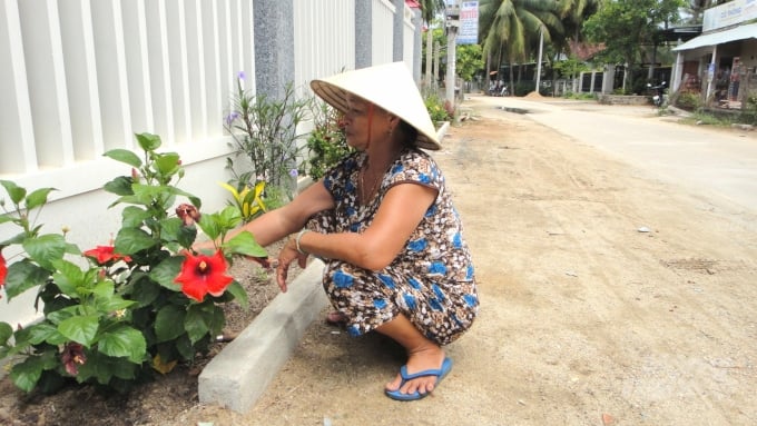 Trước mỗi căn nhà, người dân thị xã Hoài Nhơn (Bình Định) cũng vun vén những cội hoa góp phần làm sáng con đường. Ảnh: Vũ Đình Thung.