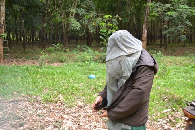 Nón bảo hộ tự chế và áo khoác là 2 công cụ buộc phải trang bị khi bắt ong rừng. Ảnh: Trần Trung.