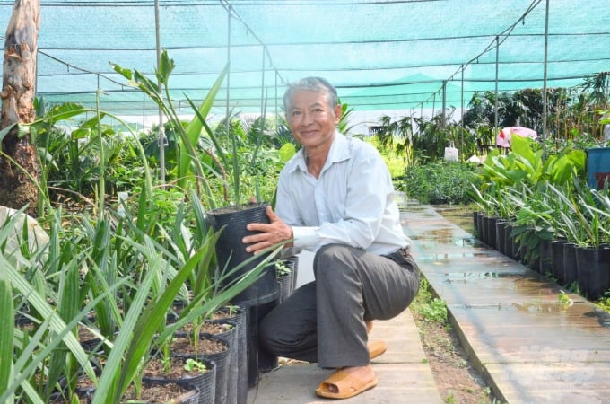 Anh Nguyễn Trí Nghiệp, Giám đốc Cty TNHH MTV Nông Trang Island cho biết: cây chà là gần đây được nhiều nông dân quan tâm tìm hiểu. Ảnh: Minh Đảm.