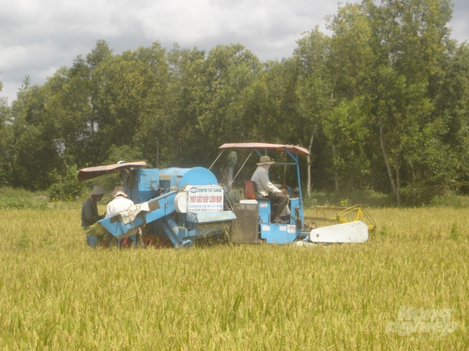 Sản xuất lúa ở Đồng bằng sông Cửu Long. Ảnh: Thanh Sơn.