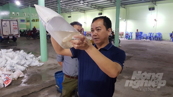 Ông Trần Đình Luân, Tổng cục trưởng Tổng cục Thủy sản, dẫn đầu Đoàn công tác kiểm tra tôm giống trên địa bàn tỉnh Bạc Liêu vào rạng sáng 6/6. Ảnh: Trọng Linh.
