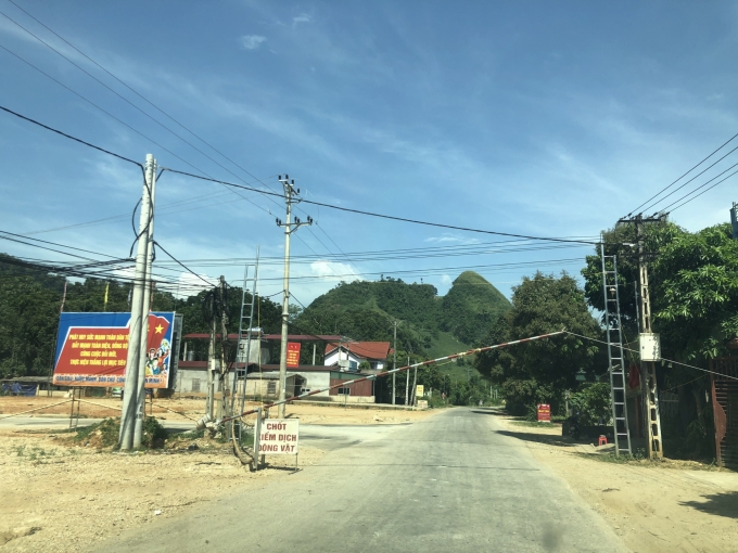 Chốt kiểm dịch động vật tại xã Hoà Mạc (huyện Văn Bàn, Lào Cai). Ảnh: H.Đ