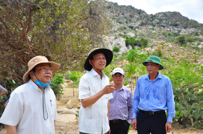 Thứ trưởng Thường trực Bộ NN-PTNTHà Công Tuấn đi kiểm tra công tác trồng rừng tại Ninh Thuận. Ảnh: Minh Hậu.