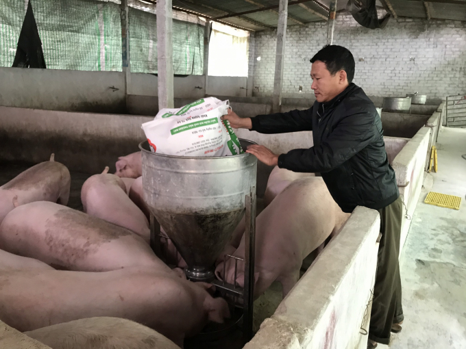 Hộ nuôi lợn tại xã Bình Khê (TX Đông Triều) thực hiện các biện pháp đảm bảo an toàn sinh học, phòng chống dịch bệnh trong chăn nuôi. Ảnh: Anh Thắng.