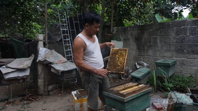 Mỗi năm anh Liệu thu hàng trăm triệu đồng từ nuôi ong. Ảnh: Đinh Mười.