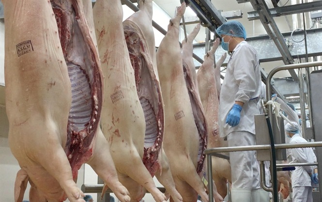 Dự kiến, đến cuối năm 2020, ngành chăn nuôi cơ bản đáp ứng nhu cầu tiêu dùng thịt lợn trong nước. Ảnh: Minh Phúc.