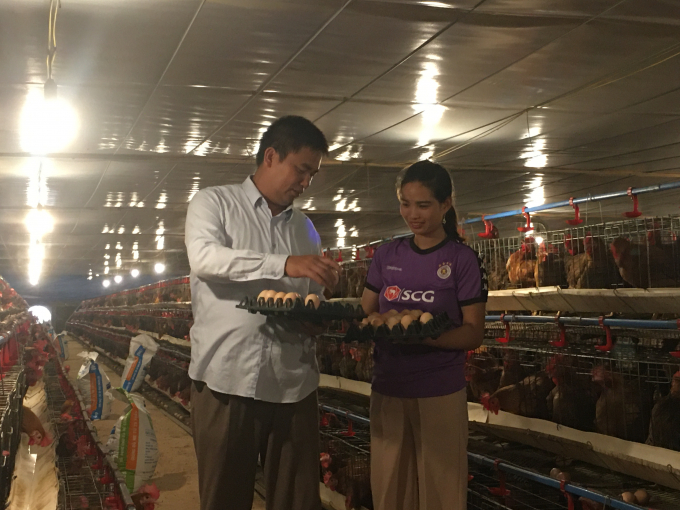 Việc đầu tư bài bản đã giúp trang trại của đôi vợ chồng trẻ Quy Điền hoạt động ổn định với số lượng cấp bán mỗi ngày gần 1 vạn con gà giống ra thị trường.