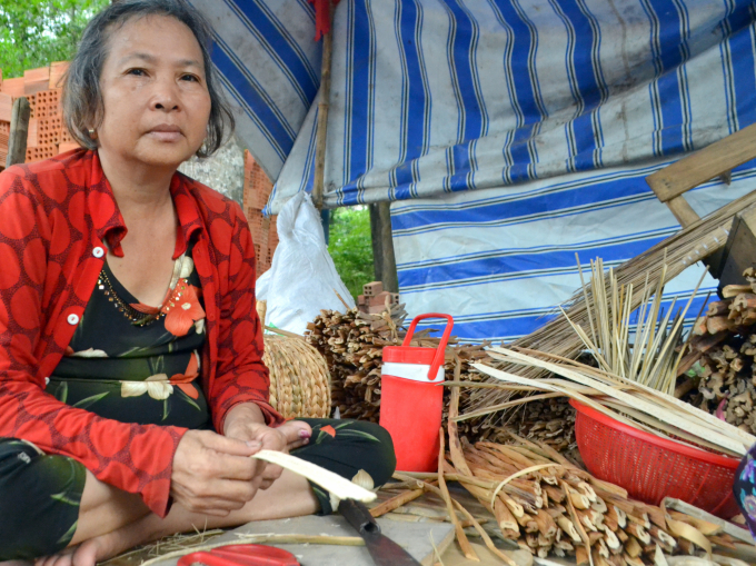 Dù tuổi cao, bà Nguyễn Thị Hiền vẫn được HTX tạo công ăn việc làm ổn định. Ảnh: Trần Trung.