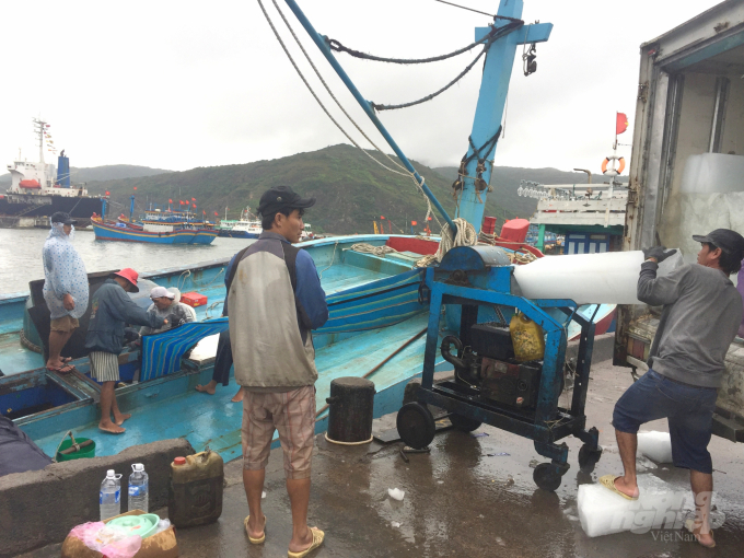 Hạ tầng cảng cá Quy Nhơn chưa tương xứng là trung tâm giao dịch thủy sản cấp vùng. Ảnh: Vũ Đình Thung.
