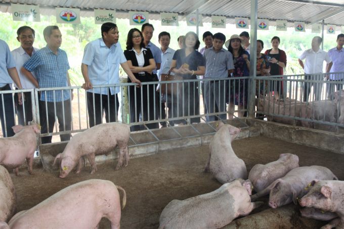 Bộ trưởng Nguyễn Xuân Cường khảo sát mô hình chăn nuôi an toàn sinh học của Tập đoàn Quế Lâm. Ảnh: HA.