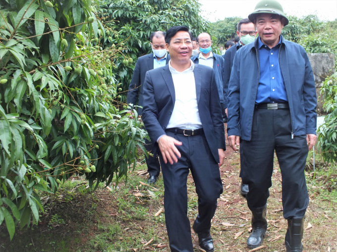 Bộ trưởng Nguyễn Xuân Cường (phải) kiểm tra công tác sản xuất, chuẩn bị tiêu thụ và xuất khẩu vải thiều tại Bắc Giang ngày 26/4/2020. Ảnh: Lê Bền.