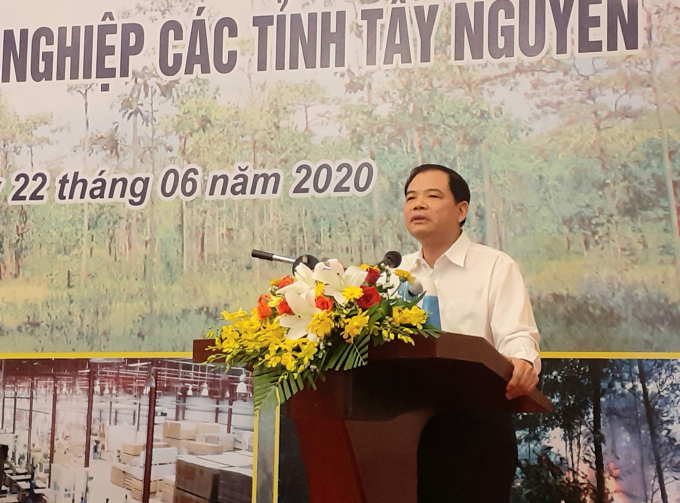 Bộ trưởng Nguyễn Xuân Cường: Cần xác định rõ trách nhiệm không chỉ chủ rừng mà cả ở các cấp chính quyền. Ảnh: Tuấn Anh.