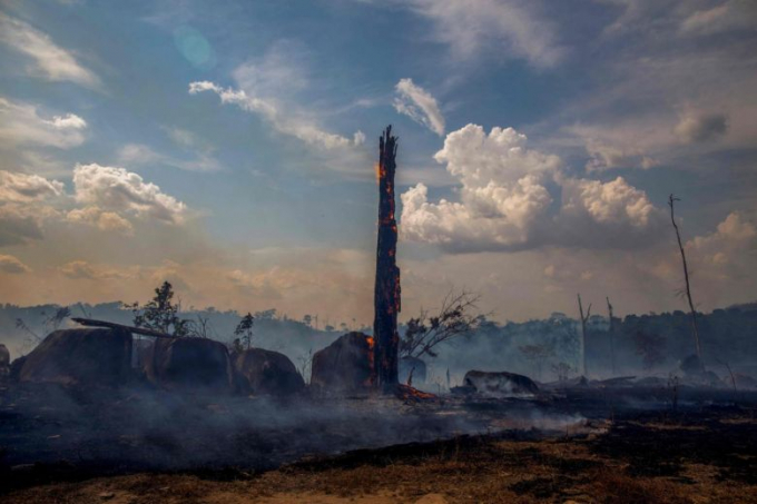 Một khoảng rừng Amazon bị đốt để khai hoang phụ vụ sản xuất nông nghiệp. Ảnh: AFP.