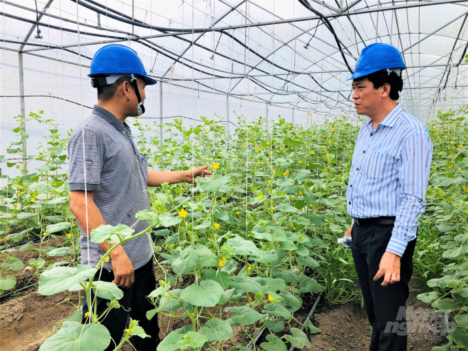 Công ty Trang trại Việt ứng dụng công nghệ tưới Israel kết hợp với hệ thống tự động làm mát giúp tăng năng suất và giá trị sản xuất cây trồng. Ảnh: Minh Sáng.