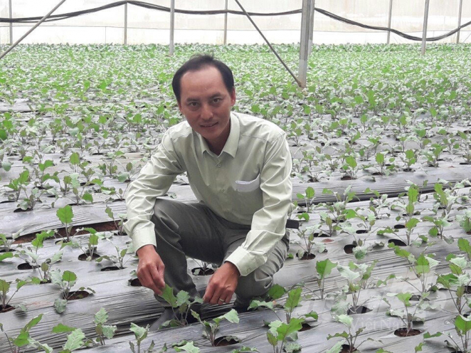Ông Võ Văn Vũ bên mô hình sử dụng màng phủ trồng rau tiết kiệm nước.