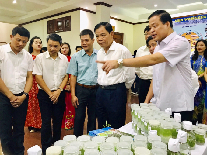 GS.TS Võ Đại Hải giới thiệu với Bộ trưởng Bộ NN-PTNT Nguyễn Xuân Cường các thành tựu nghiên cứu giống trong lĩnh vực lâm nghiệp. Ảnh: Vafs.