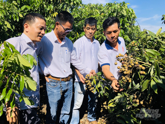 Nhiều nhà vườn đăng ký gia nhập Hội Nông trại huyện Ea Kar mong được chia sẻ kinh nghiệm làm vườn và cùng nhau phát triển, xây dựng thương hiệu trái cây đặc sản của địa phương. Ảnh: Minh Sáng.