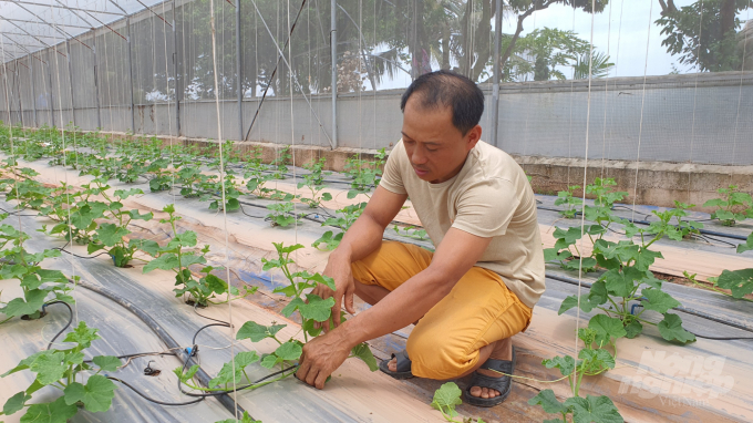 Với mô hình nhà kính, anh Hưng có thể trồng dưa quanh năm. Ảnh: Đinh Mười.